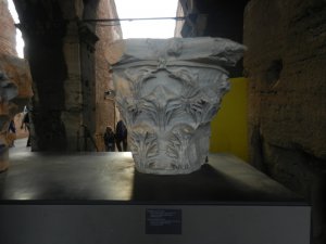 COLOSEUM EXPOZICE