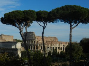 COLOSEUM
