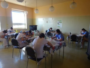 Praxe v Nemocnici