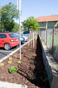 parkoviště - zahradnické úpravy
